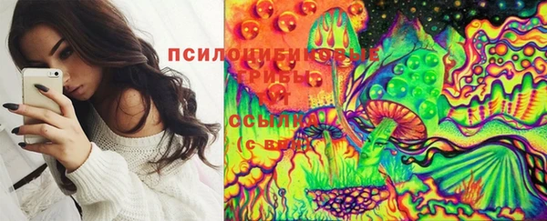 ешки Алексеевка