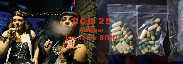 ПСИЛОЦИБИНОВЫЕ ГРИБЫ Навашино