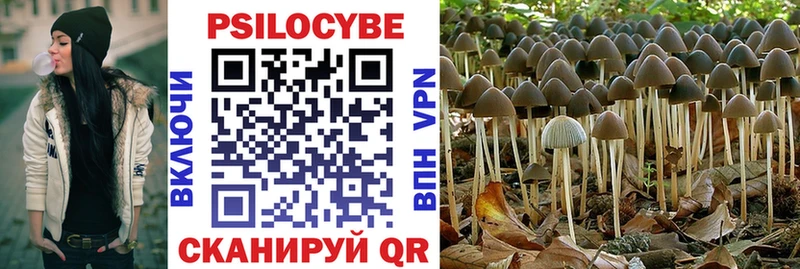 Псилоцибиновые грибы прущие грибы  Куйбышев 